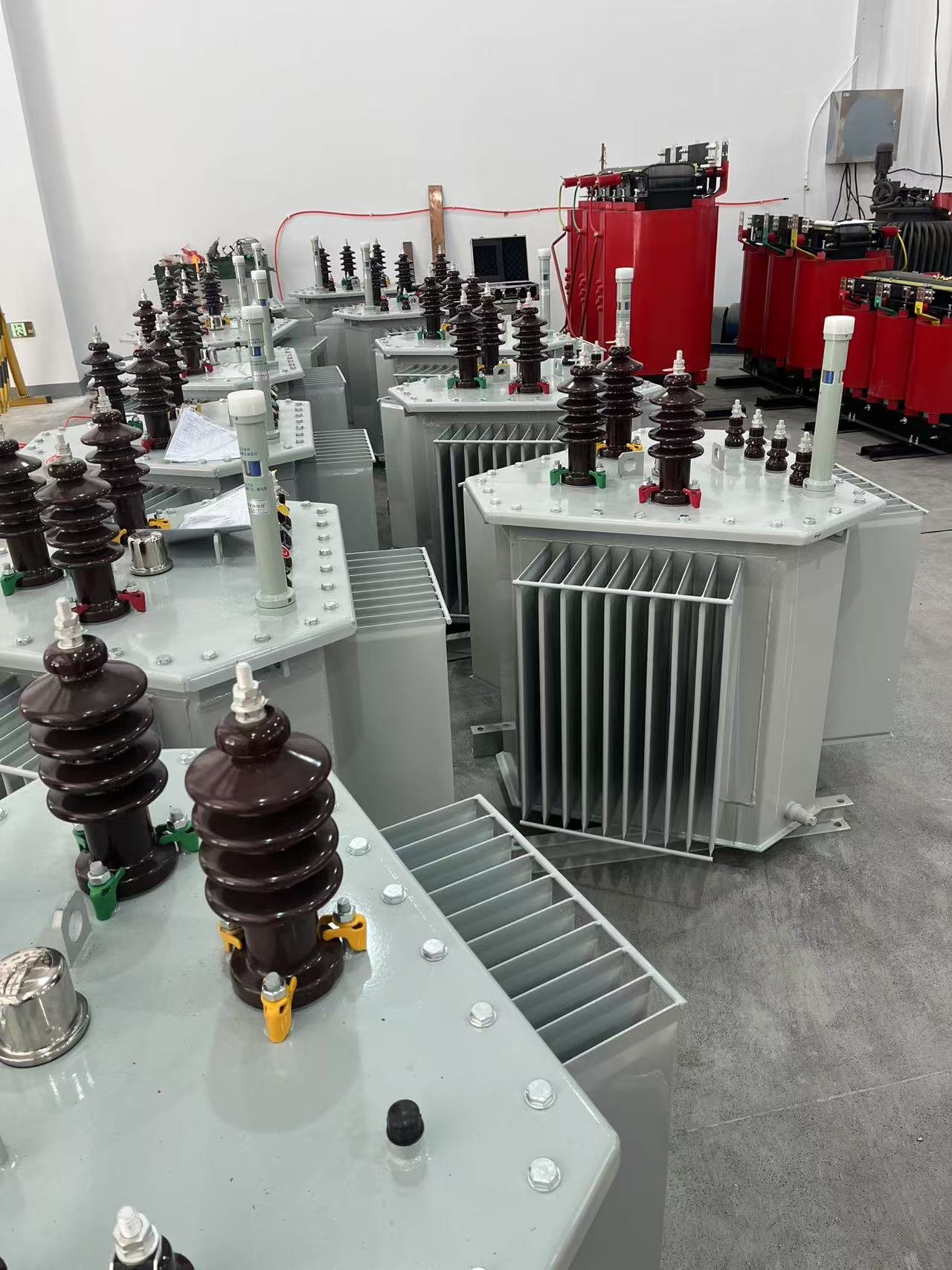 009d5488293e3d05c8f5814ea7f244e